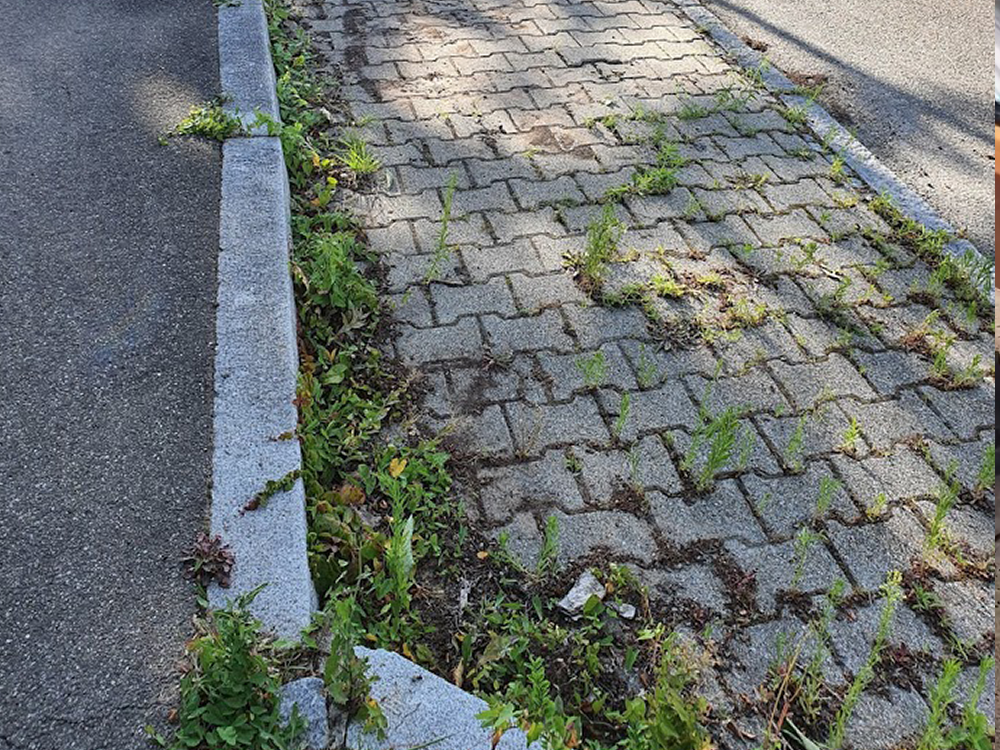 Reinigung von Natursteinen und Reinigung von Pflastersteinen in Böblingen