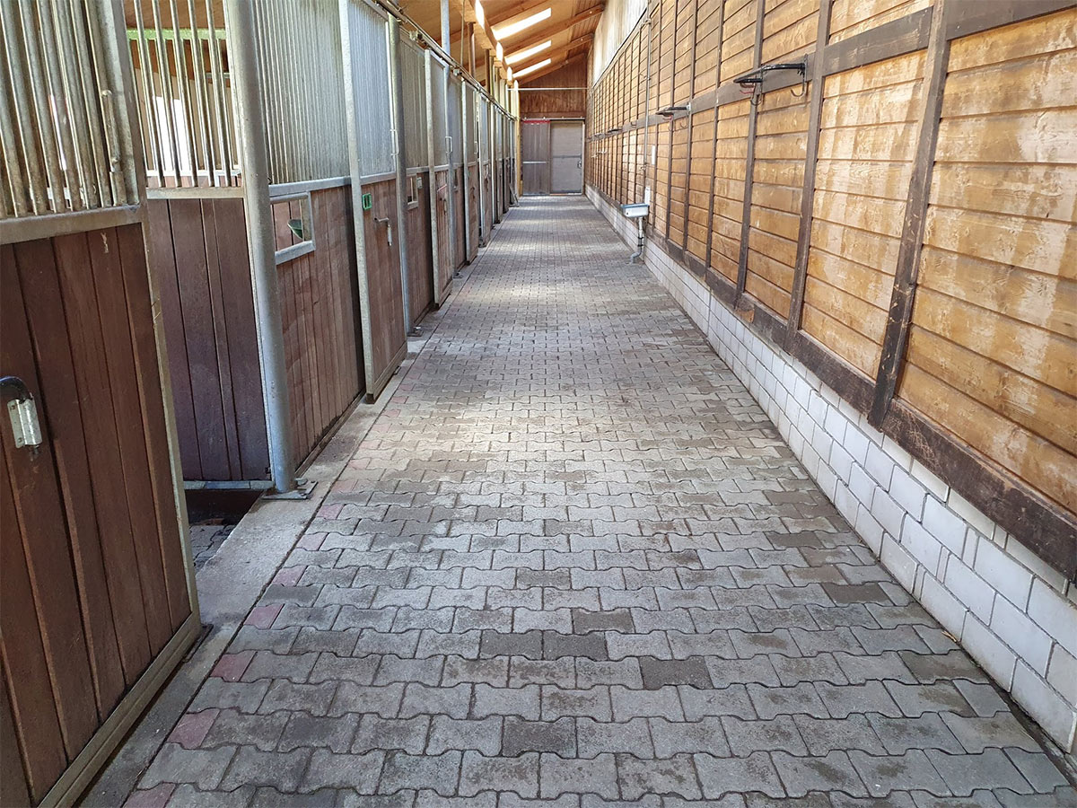 Reinigung von Ställen und Tier Boxen in Böblingen
