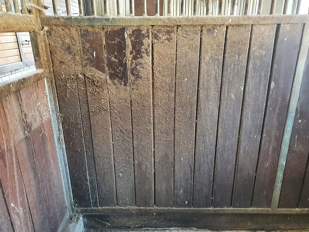Pferdeboxen Reinigung mit Desinfektion in Böblingen
