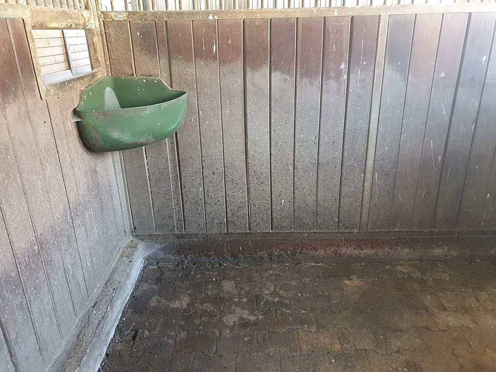 Reinigung der Pferdeboxen Pferdestall Reinigung Boxen und Stallgasse in Böblingen